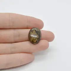 Cabochon Bronzit 20x15x6mm C25