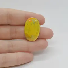 Cabochon Jasp Bumble Bee 27x17x5mm C94