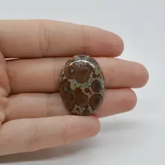 Cabochon Jasp Asteroid 30x22x5mm C15