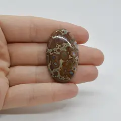 Cabochon Jasp Asteroid 39x23x6mm C31