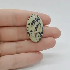 Cabochon Jasp Dalmatian 31x19x6mm C88