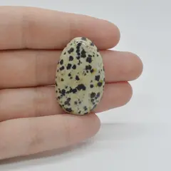 Cabochon Jasp Dalmatian 34x22x6mm C85