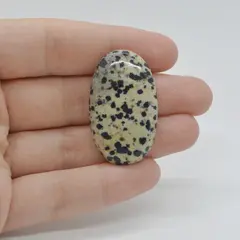 Cabochon Jasp Dalmatian 37x22x6mm C59