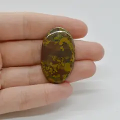 Cabochon Jasp Fruity 38x23x5mm C31