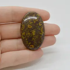 Cabochon Jasp Fruity 43x27x6mm C71