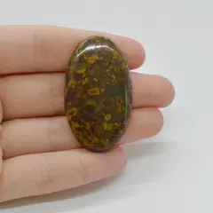 Cabochon Jasp Fruity 45x26x5mm C18