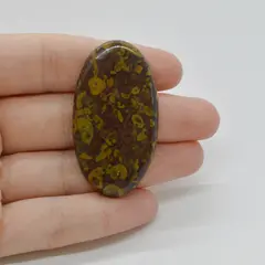 Cabochon Jasp Fruity 48x26x5mm C21