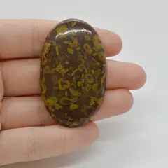 Cabochon Jasp Fruity 51x31x6mm C59