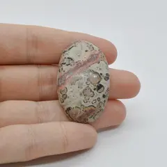 Cabochon Jasp Leopard 2 39x24x7mm C60