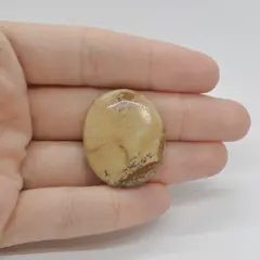 Cabochon Jasp Peisaj 30x25x6mm C41