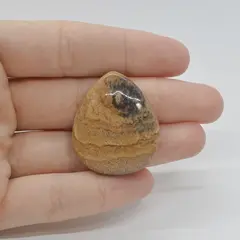 Cabochon Jasp Peisaj 34x29x6mm C46