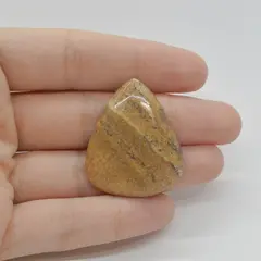 Cabochon Jasp Peisaj 35x29x5mm C108