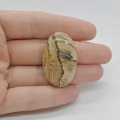 Cabochon Jasp Peisaj 36x22x9mm C42