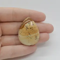 Cabochon Jasp Peisaj 37x27x6mm C92