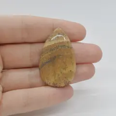 Cabochon Jasp Peisaj 40x25x5mm C48