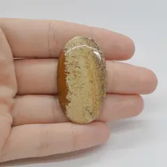 Cabochon Jasp Peisaj 42x24x5mm C52