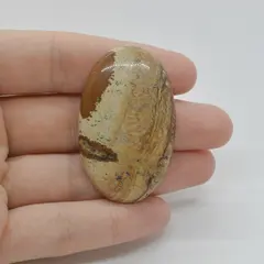 Cabochon Jasp Peisaj 46x28x7mm C17
