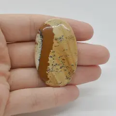 Cabochon Jasp Peisaj 46x29x5mm C23