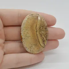 Cabochon Jasp Peisaj 46x31x5mm C106