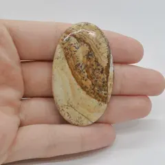 Cabochon Jasp Peisaj 49x30x5mm C69