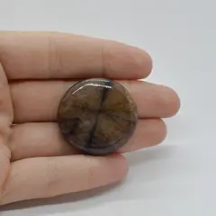 Cabochon Kiastolit 31x31x7mm C50