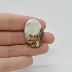 Cabochon Magnezit 31x21x5mm C39