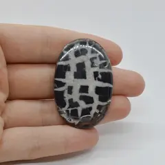 Cabochon Septaria Negru 44x29x4mm C29