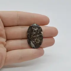 Cabochon Agat Turitela 30x20x4mm C51