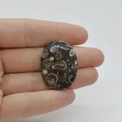 Cabochon Agat Turitela 32x24x6mm C24