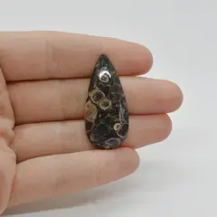 Cabochon Agat Turitela 37x17x6mm C46