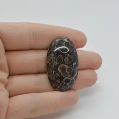 Cabochon Agat Turitela 37x22x6mm C67