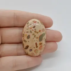 Cabochon Jasp Leopard 41x26x7mm C81