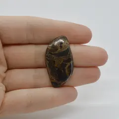 Cabochon Stromatolit 34x18x6mm C38