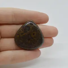 Cabochon Stromatolit 35x34x7mm C50