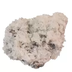 Floare de mina pentru colectie, unicat - C534 (Lot 1)