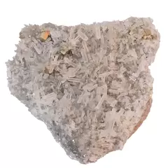 Floare de mina pentru colectie, unicat - C559 (Lot 1)