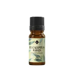 Ulei esential de Eucalipt Radiata, Mayam 10ml