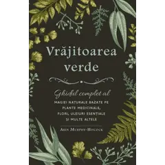 Vrăjitoarea verde - Arin Murphy-Hiscock, carte