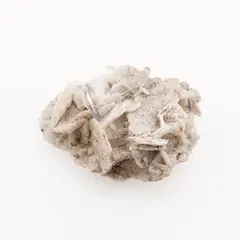 Floare de mina pentru colectie, unicat - A115