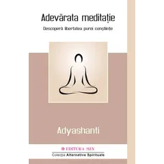 Adevarata meditatie. Descopera libertatea purei constiinte - Adyshanti, carte