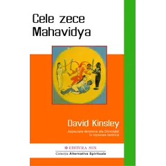Cele zece Mahavidya - David Kinsley, carte