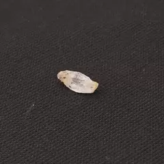 Fenacit nigerian, cristal natural unicat, F61