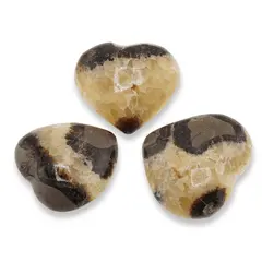 Inima mica Septaria, 20-30g