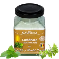 Roinita si Menta Creata - Lumanare 100% Naturala 200g, Savonia