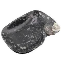 Tava slefuita din mix fosile mare - 25cm x 18cm