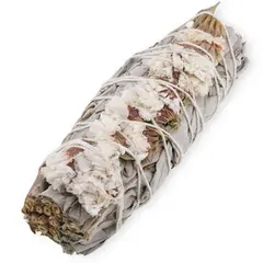 Buchet Salvie Alba cu Flori albe de Sinuata - 10cm