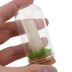 Cupola cu cristal natural Calcit alb brut, 65mm