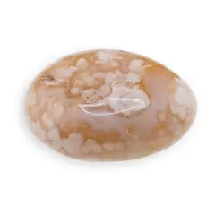 Palm Stone Agat Flower C98, 96g