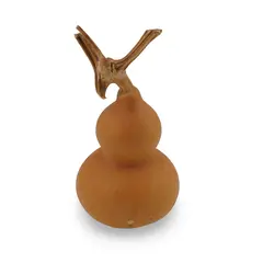 Tigva / Wu lou natural 5-6cm