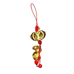 Amulete feng shui cu doi pesti Koi